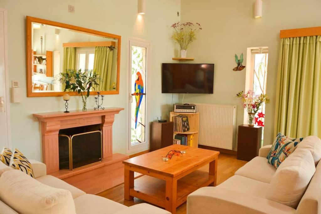 Artemis House Agios Georgios Pagon